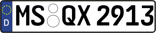 MS-QX2913