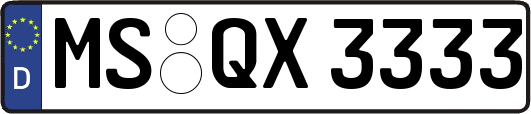MS-QX3333