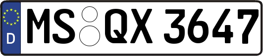 MS-QX3647
