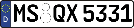 MS-QX5331