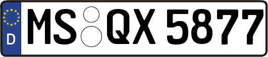 MS-QX5877