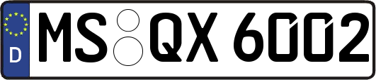 MS-QX6002