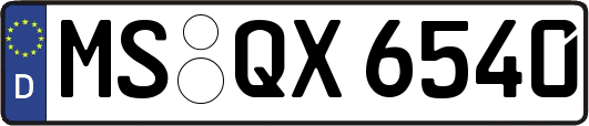 MS-QX6540