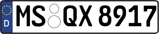 MS-QX8917