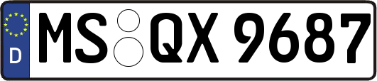 MS-QX9687