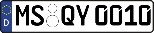MS-QY0010