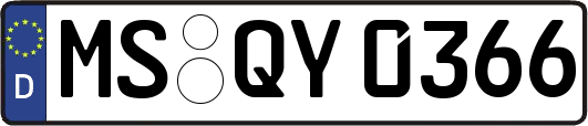 MS-QY0366