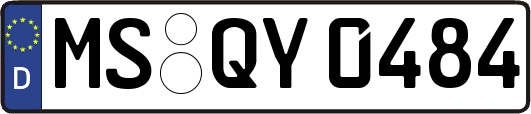 MS-QY0484