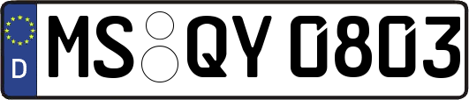 MS-QY0803