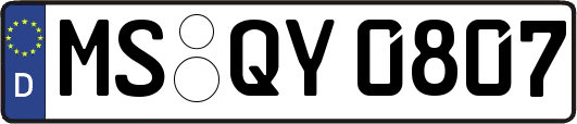 MS-QY0807