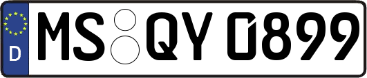 MS-QY0899