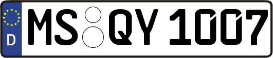 MS-QY1007