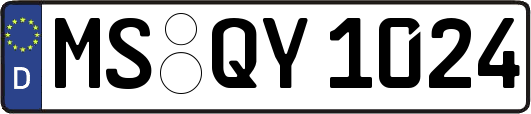 MS-QY1024