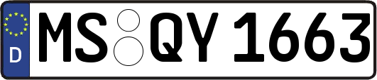 MS-QY1663