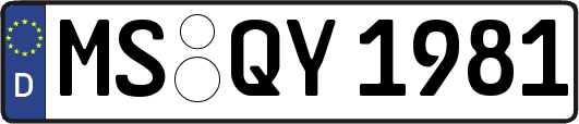 MS-QY1981
