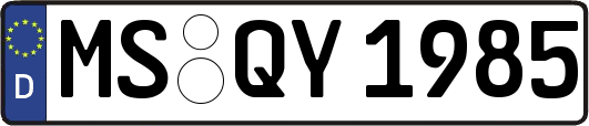 MS-QY1985