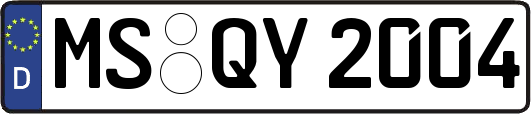 MS-QY2004