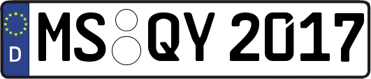 MS-QY2017
