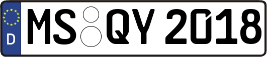 MS-QY2018