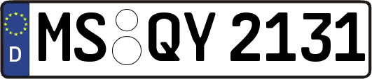 MS-QY2131