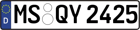 MS-QY2425