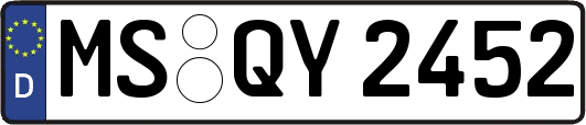 MS-QY2452