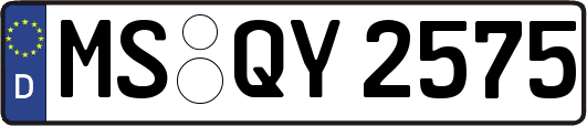 MS-QY2575