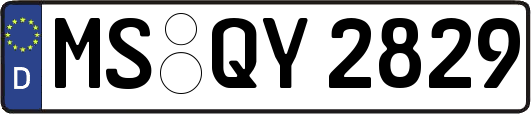 MS-QY2829