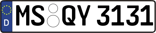 MS-QY3131