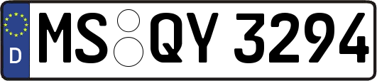 MS-QY3294