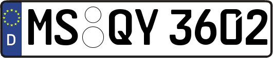 MS-QY3602