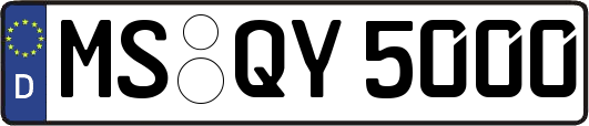 MS-QY5000