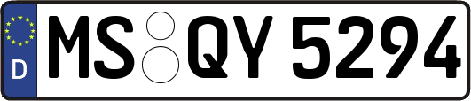 MS-QY5294