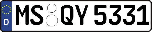 MS-QY5331