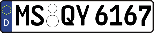 MS-QY6167