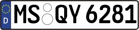 MS-QY6281