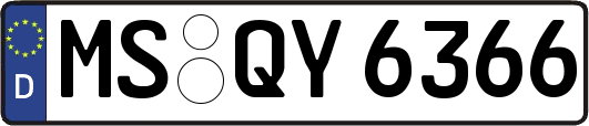 MS-QY6366
