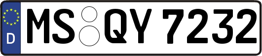 MS-QY7232