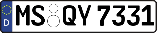 MS-QY7331