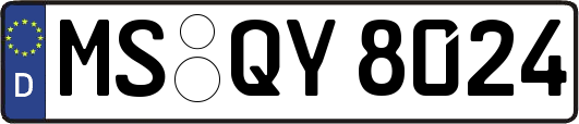 MS-QY8024