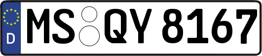 MS-QY8167