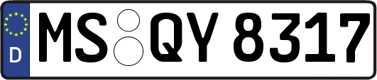 MS-QY8317