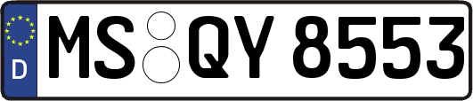 MS-QY8553
