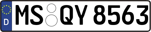 MS-QY8563