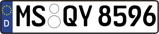 MS-QY8596