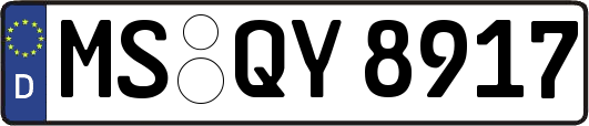 MS-QY8917