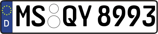 MS-QY8993
