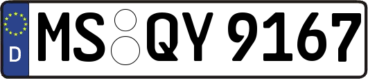 MS-QY9167
