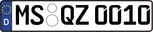MS-QZ0010