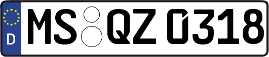 MS-QZ0318